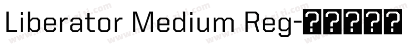 Liberator Medium Reg字体转换